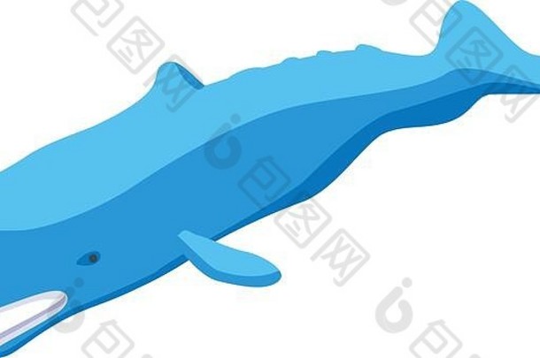 海洋蓝鲸图标，等距样式
