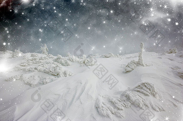 圣诞背景是星星和山上的雪杉树