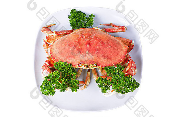 白色底色，白色盘子中配欧芹的鲜熟Dungence蟹