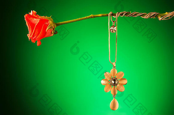 昂贵的珠宝项链链和<strong>吊坠</strong>悬挂饰品花茎