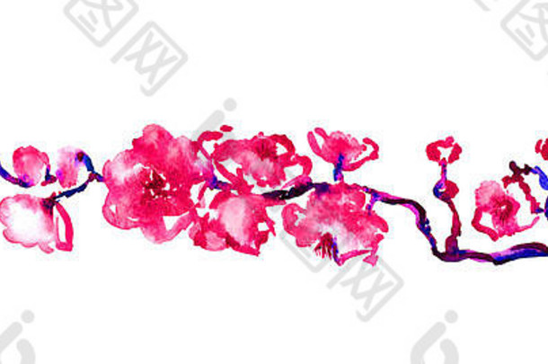粉红色樱花枝，孤立手绘水彩插画