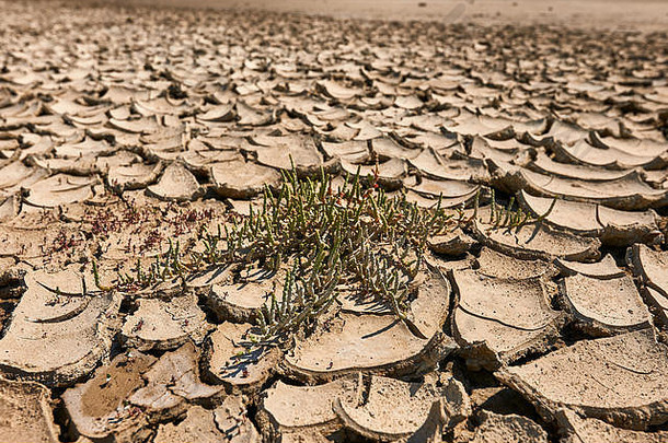 地球沙子沙漠的足迹离开