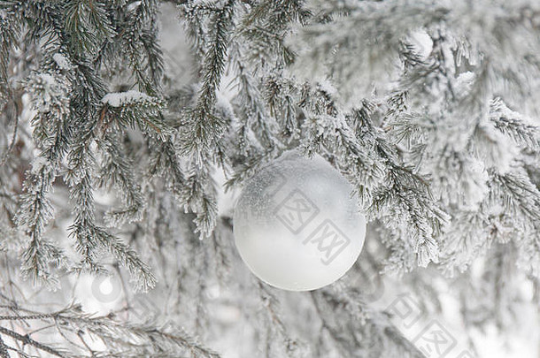银圣诞节球冷淡的冷杉树分支机构冬天模糊背景