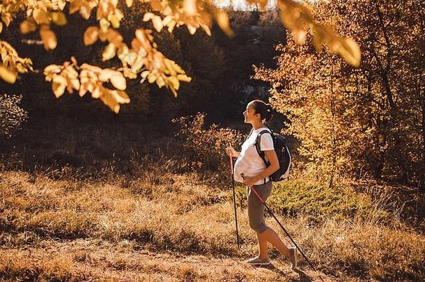 北欧孕妇背着背包和登山杖在秋天的森林里散步。孕期健康积极的生活方式。孕期健康锻炼。