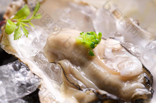 牡蛎一半壳牌茴香沙拉海藻