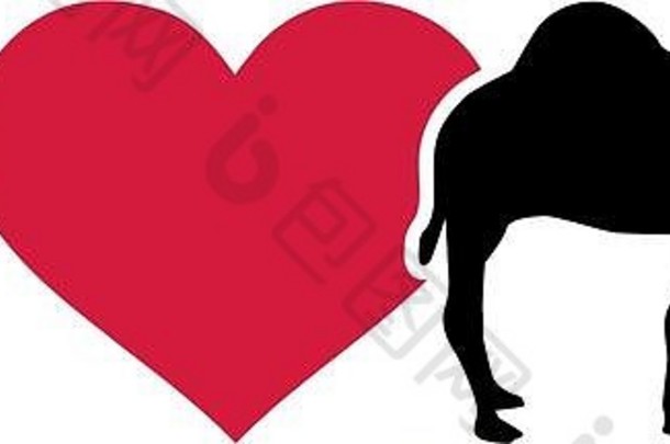 爱骆驼pictogram