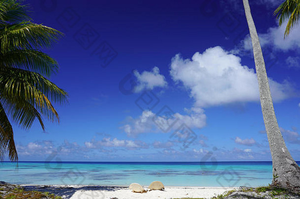椅子桑迪海滩棕榈树绿松石环礁湖明亮的蓝色的天空云岛法卡拉瓦法国波利尼西亚