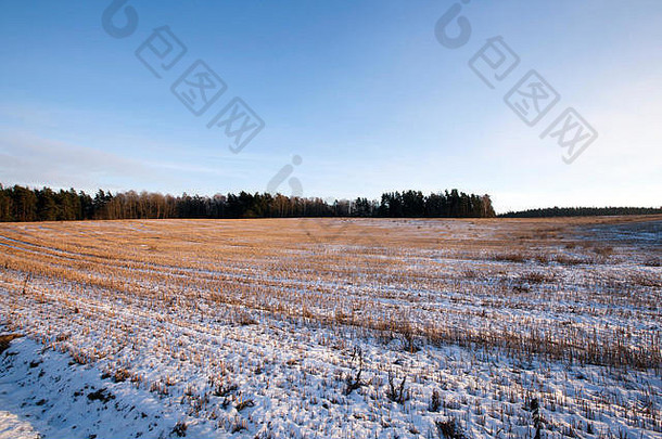冰雪覆盖的田野，冬天