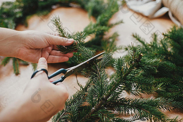 制作质朴的圣诞花环。手用剪刀在木桌上剪杉木枝。圣诞花圈工作坊。云杉树枝