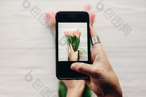 instagram摄影师，博客工作室概念。手持手机，拍摄时尚的花朵平面图。粉色郁金香，白色木质质朴