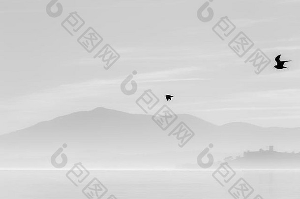 美丽的视图trasimeno湖日落鸟水卡斯蒂廖内的泻湖小镇