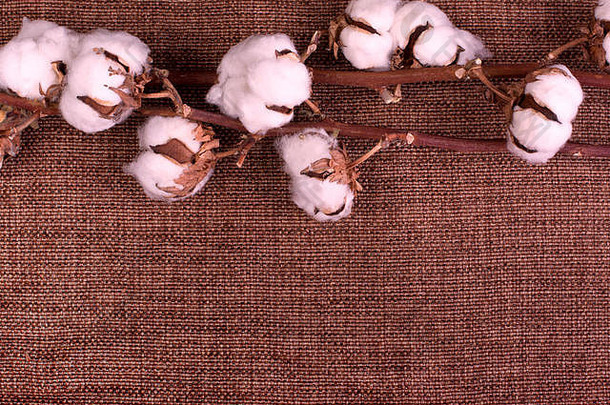 花设计毛茸茸的干棉花波尔斯粗糙的棕色（的）粗麻布前视图复制空间问候卡