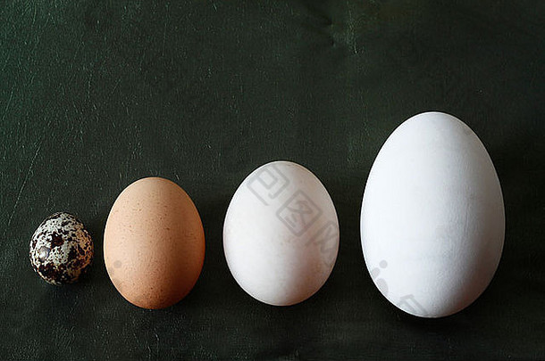 鹅、鸭、鹌鹑和鸡蛋。