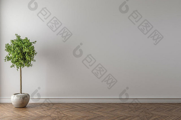 把你的作品放在这个空白区域。地板上的拼花地板，空房间内的室内植物。
