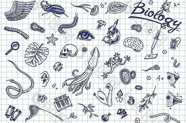 科学实验室生物学图标集生物化学研究生活生物生物分子医学学校教育科学刻手画草图古董风格
