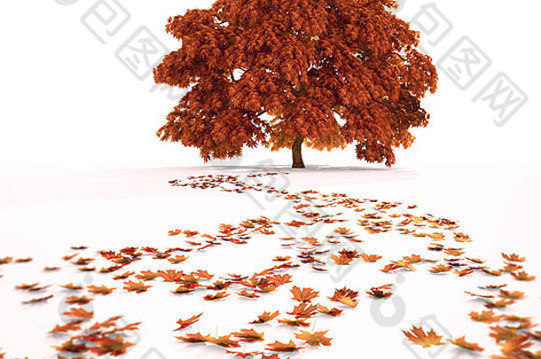 秋天的枫树，一条落叶的小路