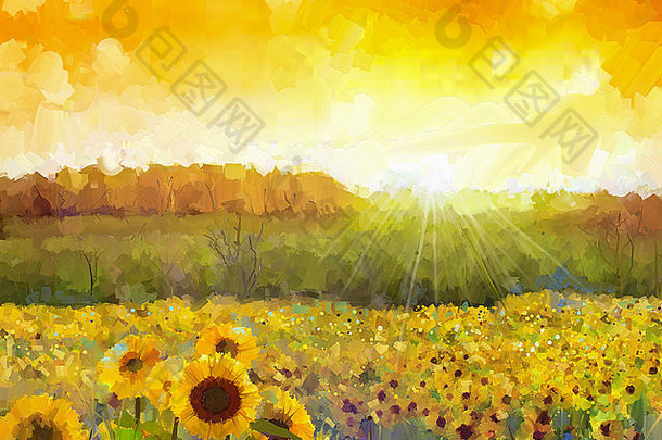 向日葵花盛开。金色向日葵田的乡村日落风景油画