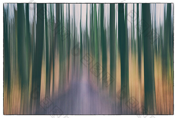 这是一张概念照片，使用森林中树木的慢速快门，显示绿色、橙色和淡紫色的叶子