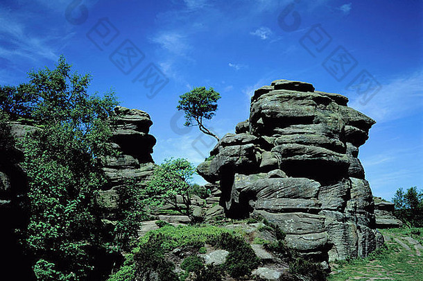 奇怪的是侵蚀岩石形成布里姆汉姆岩石佩特利桥北约克郡英格兰