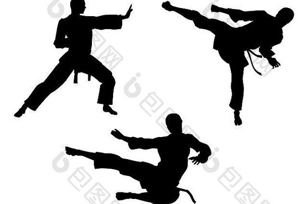 空手道武术艺术轮廓但空手道武术艺术提出了包括高踢飞行踢