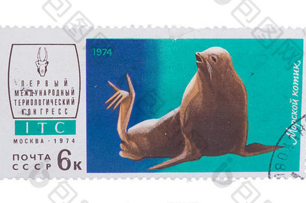 苏联约邮票印刷显示皮毛海豹