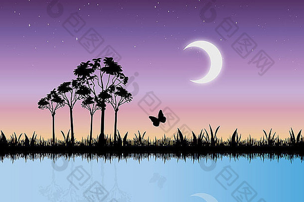 景观图像布满星星的晚上沼泽地