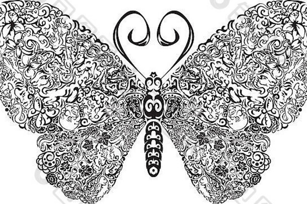 蝴蝶蝴蝶模式复杂的模式翅膀