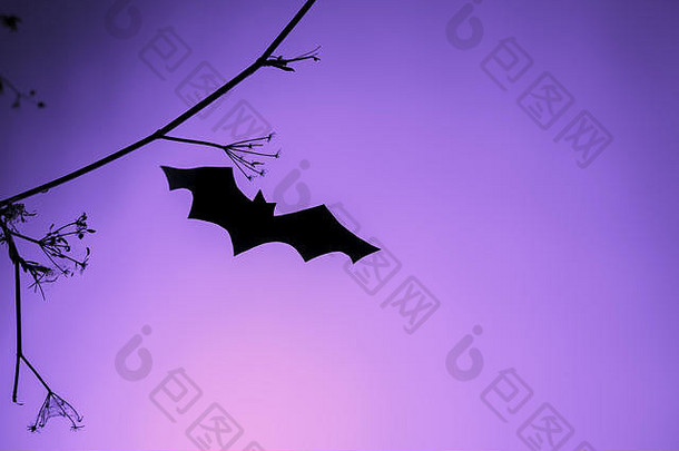 有创意的时尚的万圣节背景黑色的纸蝙蝠飞行紫色的霓虹灯光背景复制空间卡装饰概念极简主义