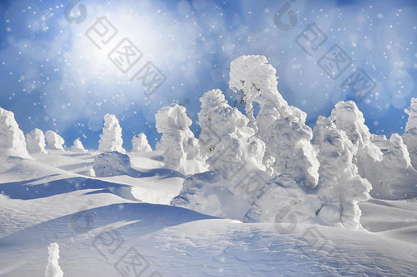 冬天景观雪树雪花圣诞节概念