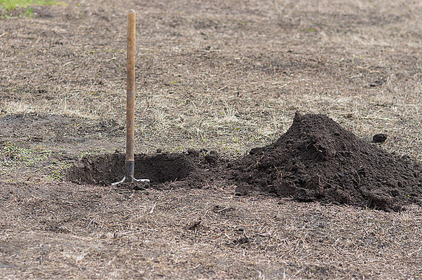 早春园中的铲、洞、堆土