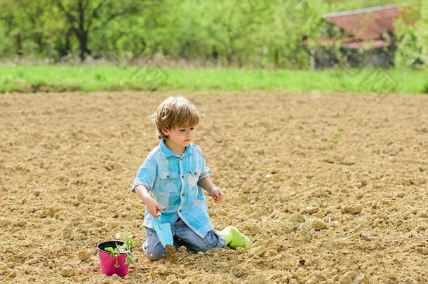 种植场助手花园男孩坐地面种植花场有趣的时间农场园艺概念孩子有趣的铲植物能种植幼苗