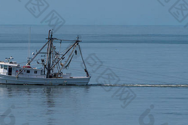 南卡罗来纳州嘉华岛海岸外的一艘拖网渔船。鹈鹕在排队等待免费的晚餐。