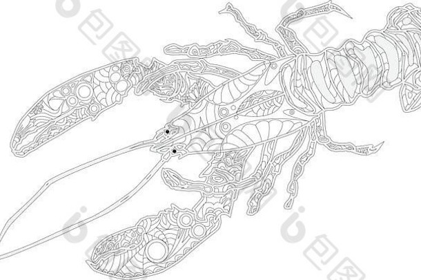 龙虾线彩绘书的艺术设计。华丽的小龙虾画。