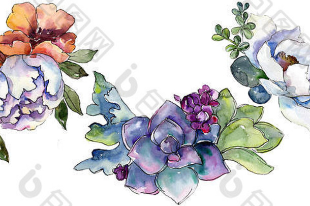 花束花植物花水彩背景插图集孤立的花束插图元素