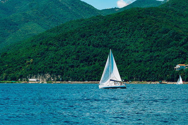 航行赛船会黑山共和国赛船会游艇博卡湾