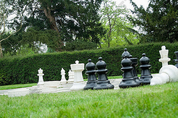 大花园国际象棋游戏