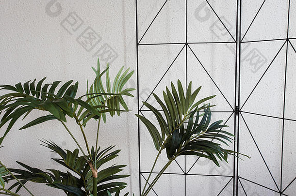 白色莫德伦设计的室内植物，特写背景