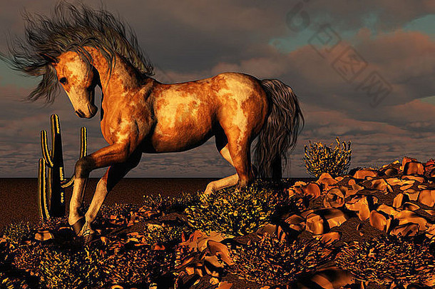 一匹<strong>野马</strong>从沙漠中的一座岩石小山上跑下来。