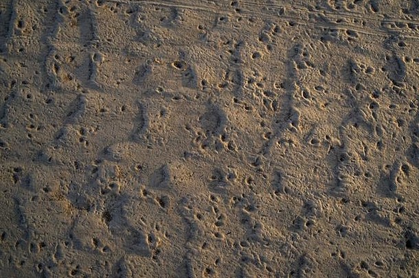 低潮时，沙粒上的气泡会形成孔洞