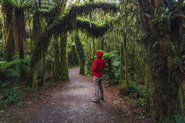 男人。享受新西兰热带雨林细节景观