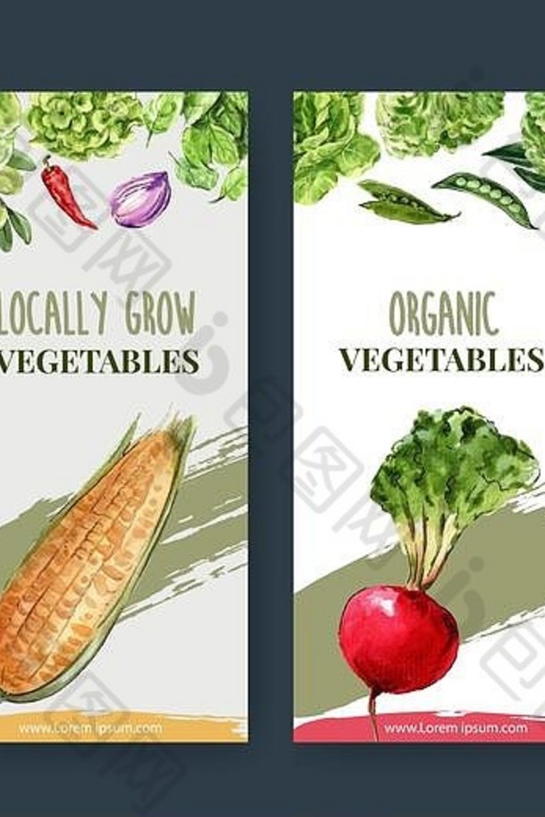 蔬菜水彩油漆集合新鲜的食物有机菜单健康的设计插图
