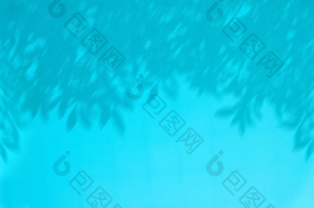 摘要背景蓝色的颜色散焦影子树分支机构反映了水池运动模糊复制空间