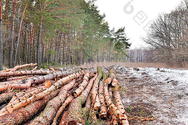 森林砍伐破坏自然