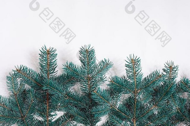绿色的圣诞冷杉树枝孤立在白色背景上。