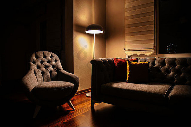 昏暗的客厅，环境照明和斑马线配件