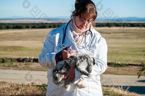 一名农村兽医正在农村对一只兔子进行体检