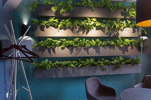 舒适的平静室内绿色植物墙钢悬挂器