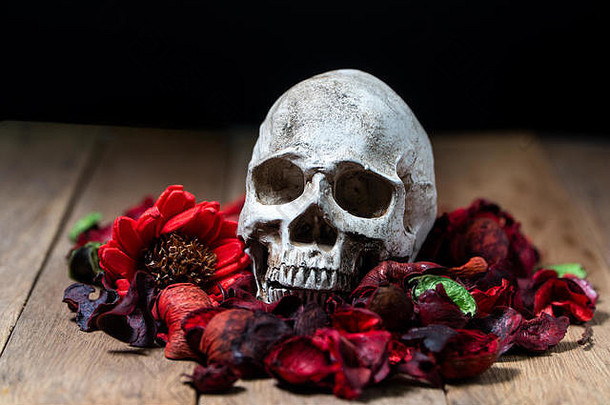 在人类头骨前面的木制背景上放上红色干花。死亡和万圣节的概念