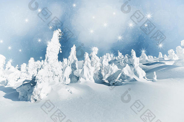 冬天的风景，有雪树和雪花。圣诞节概念