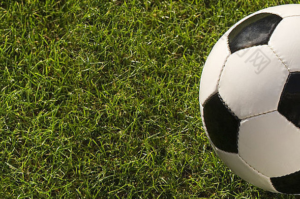 草地上黑白皮革足球的特写镜头